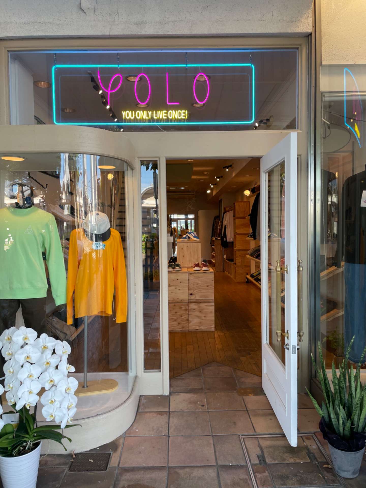 YOLO
